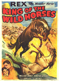 King Of The Wild Horses