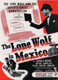The Lone Wolf In Mexico