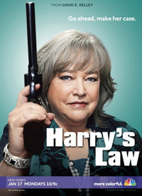 哈莉与法律 第一季