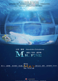 Mr.fish
