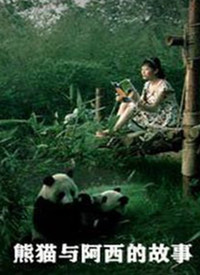 熊猫与阿西的故事
